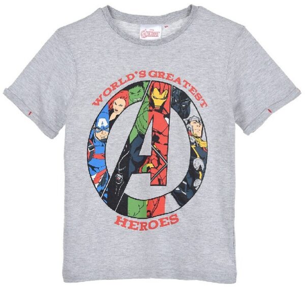 AVENGERS MARVEL heroes-szara